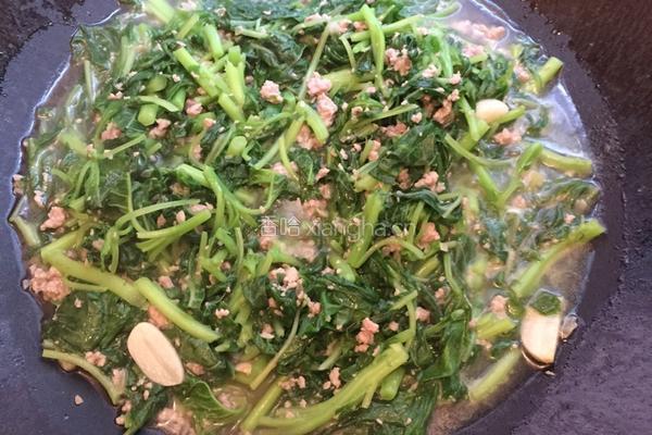 冬菜肉末炒苋菜的做法图解8