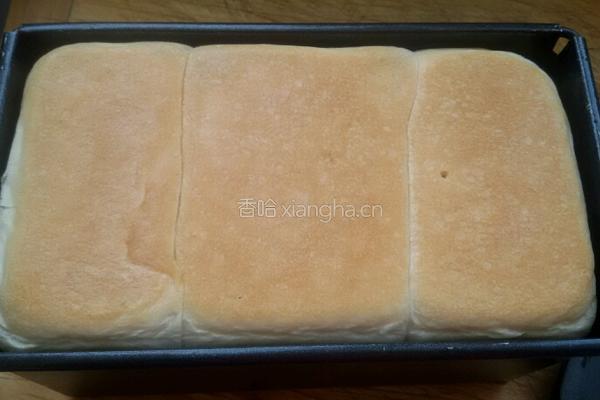 原味吐司面包的做法图解15