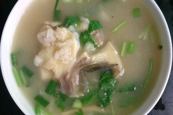 鲩鱼粥