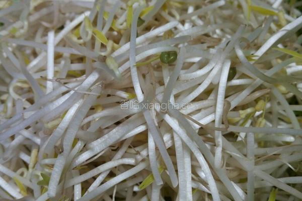 鱼子酱牛排凉面的做法图解5