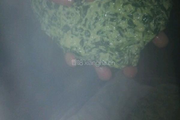 红薯叶(馍)的做法图解4