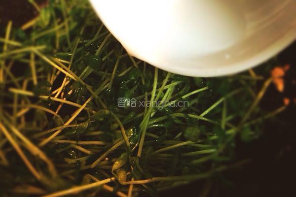 蒜香豆苗的做法图解6
