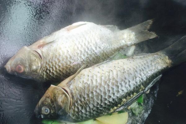 野生鲫鱼豆腐汤的做法图解3