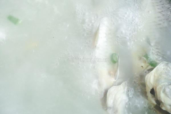 野生鲫鱼豆腐汤的做法图解5