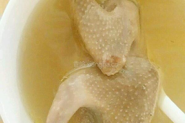 清炖鸽子汤的做法图解3