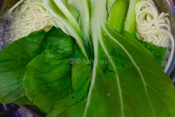 油泼面的做法图解3