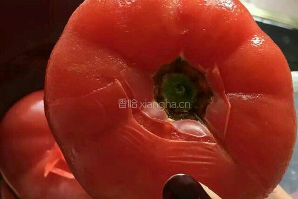 甜蜜蜜番茄的做法图解2