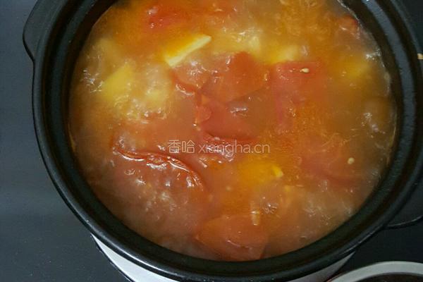 炖土豆牛肉汤（家庭版）的做法图解10