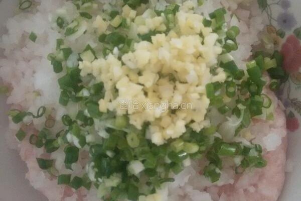 水晶萝卜肉馅煎饺的做法图解4