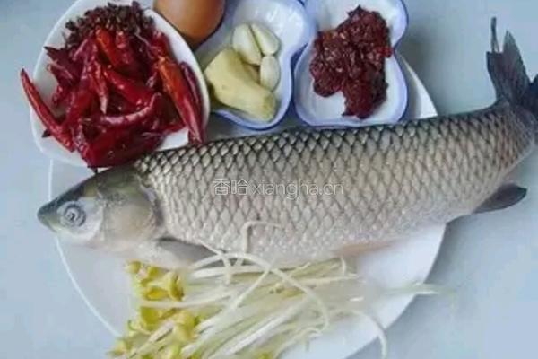 重庆水煮鱼的做法图解1