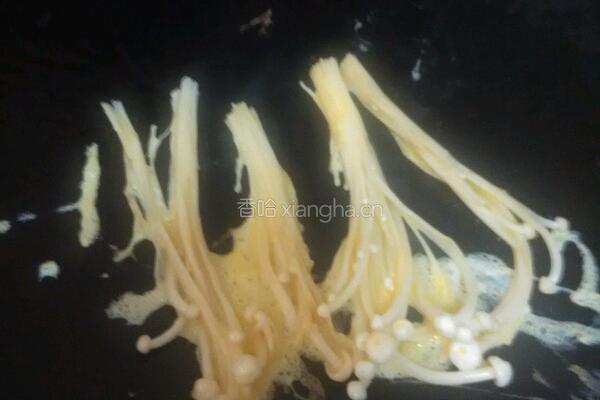 蛋煎金针菇的做法图解5