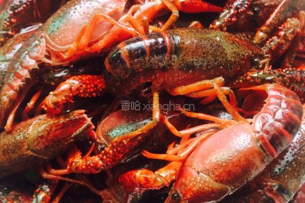 麻辣小龙虾的做法图解2