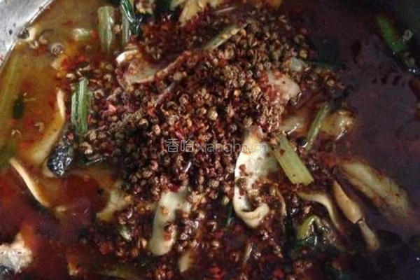 麻辣水煮鱼的做法图解8