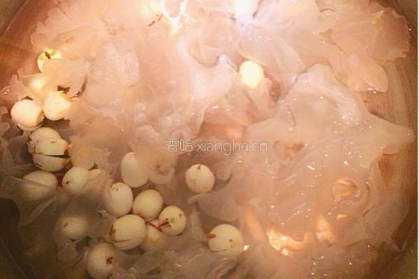木瓜莲子银耳羹的做法图解4