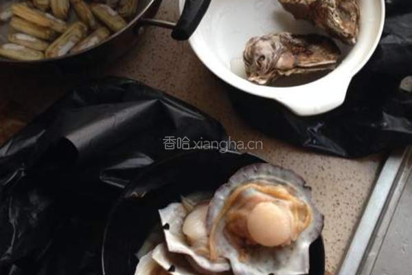 粉丝扇贝的做法图解1