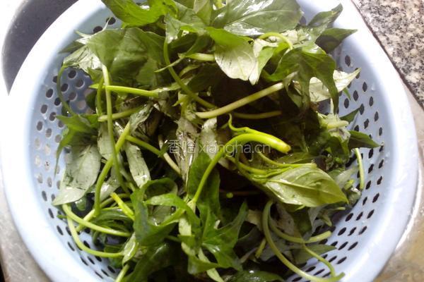 蒜蓉炒蕃薯苗的做法图解3