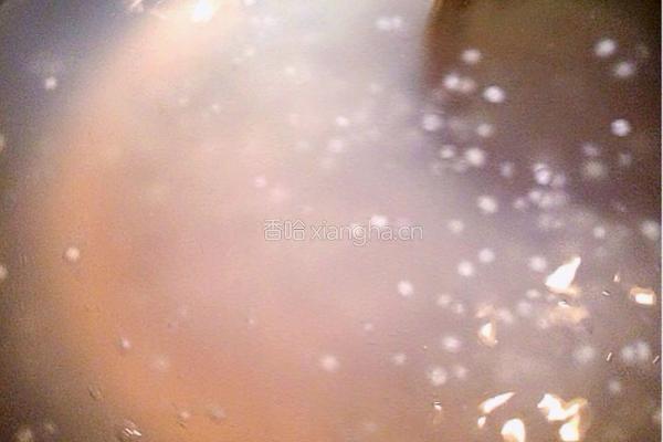 木瓜椰奶西米露的做法图解2