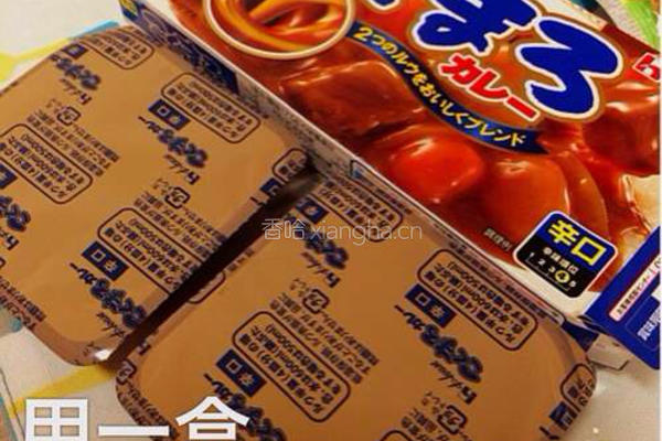 鸡肉咖喱饭的做法图解3
