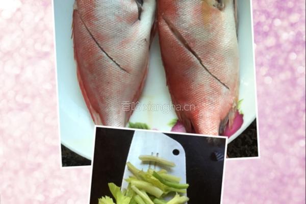 冬菜焖大眼鸡鱼的做法图解2