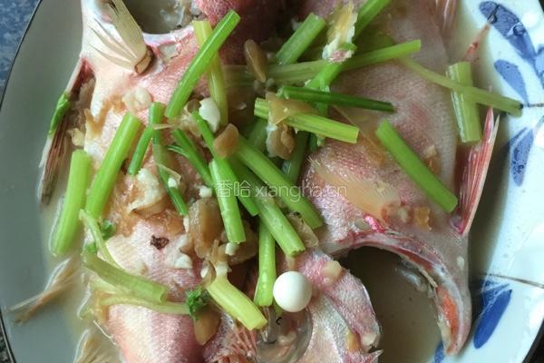 冬菜焖大眼鸡鱼的做法图解7