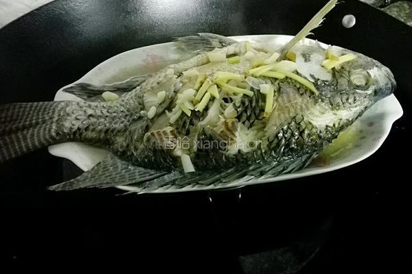 清蒸非洲鲫鱼的做法图解6