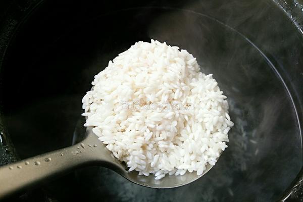 生滚鱿鱼粥的做法图解2