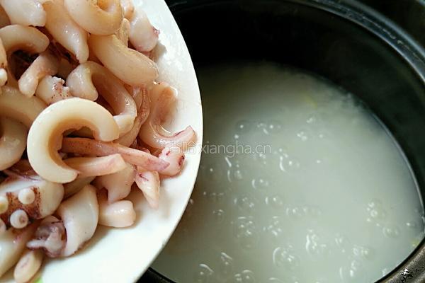 生滚鱿鱼粥的做法图解8