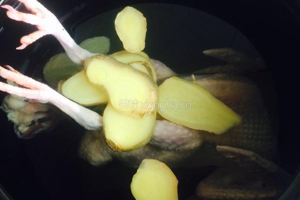 鸽子蘑菇汤的做法图解2