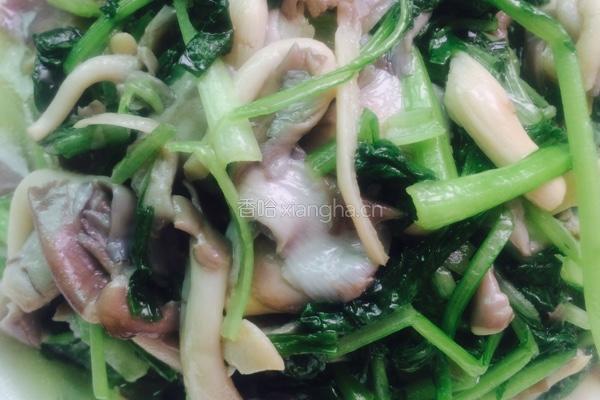 蘑菇青菜的做法图解5