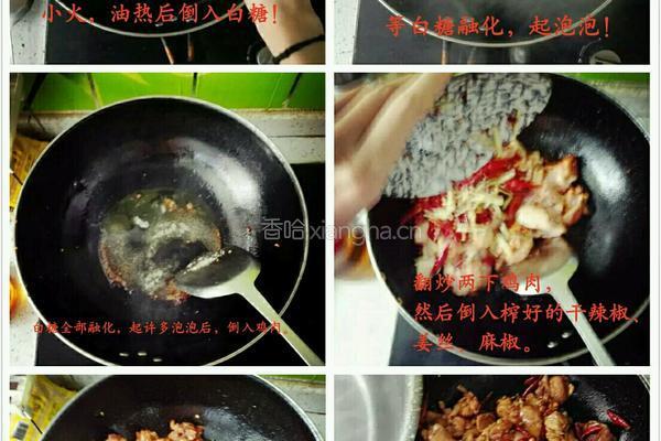 正宗赵家大盘鸡的做法图解3