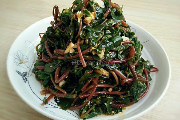 凉拌马齿苋的做法图解9