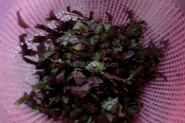 紫苏炒花甲的做法图解6