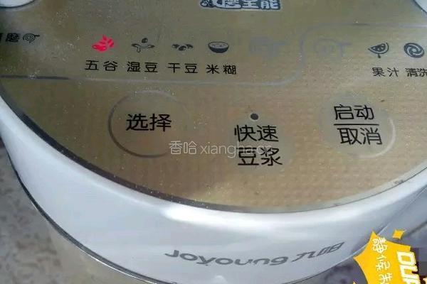 银耳百合绿豆浆的做法图解4