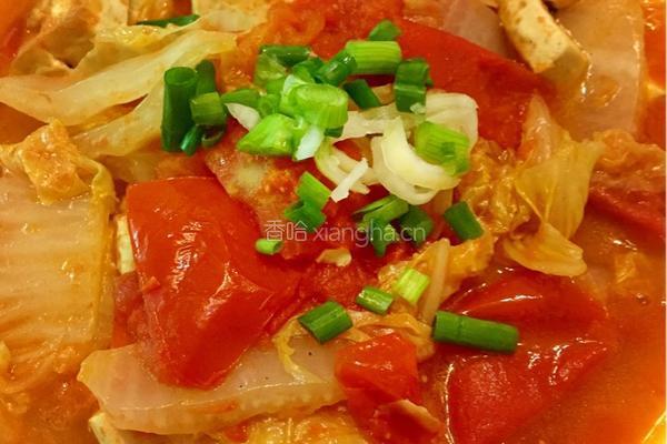 西红柿白菜豆腐的做法图解3