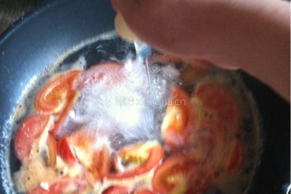 猪肉蕃茄汤的做法图解6
