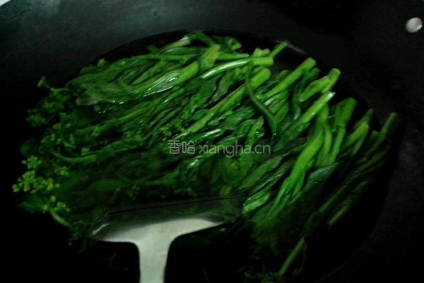 蒜蓉菜心的做法图解3