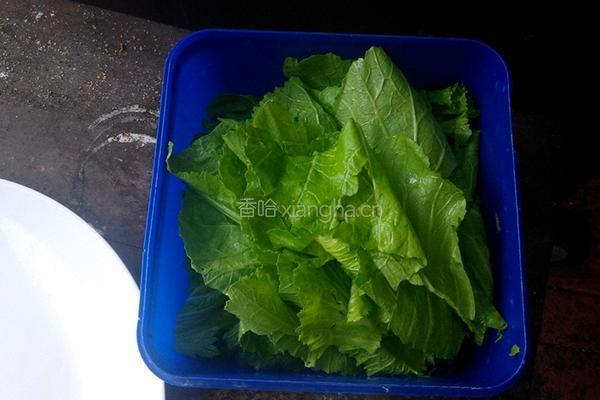 蚝油芥菜的做法图解3