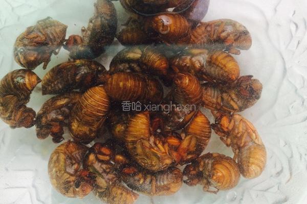 金蝉的做法图解1