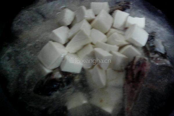 草鱼头豆腐汤的做法图解6