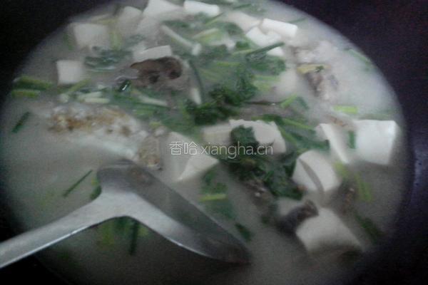 草鱼头豆腐汤的做法图解7