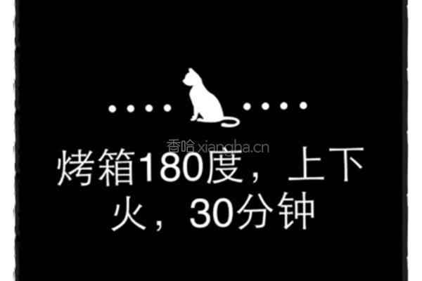 新奥而良鸡翅(意大利风味)的做法图解8