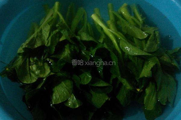 葱香菜心的做法图解1
