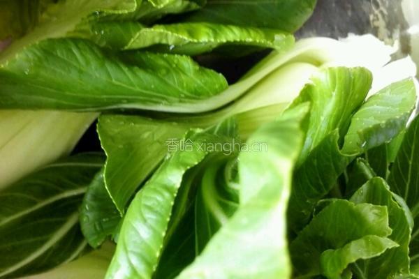 青菜香菇肉的做法图解3