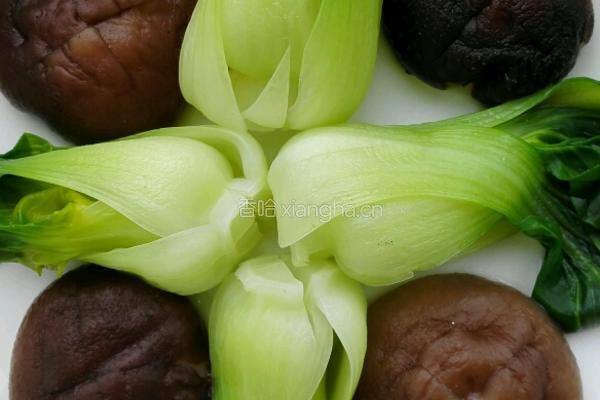 青菜香菇肉的做法图解6