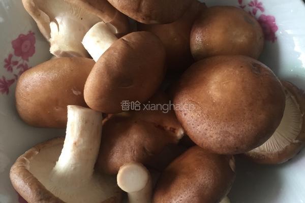 苦瓜酿肉的做法图解1
