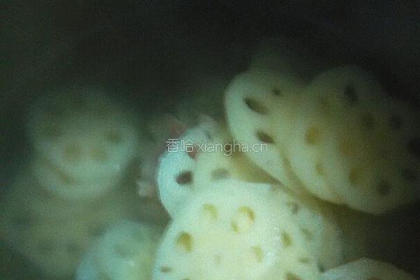 水煮莲藕的做法图解5