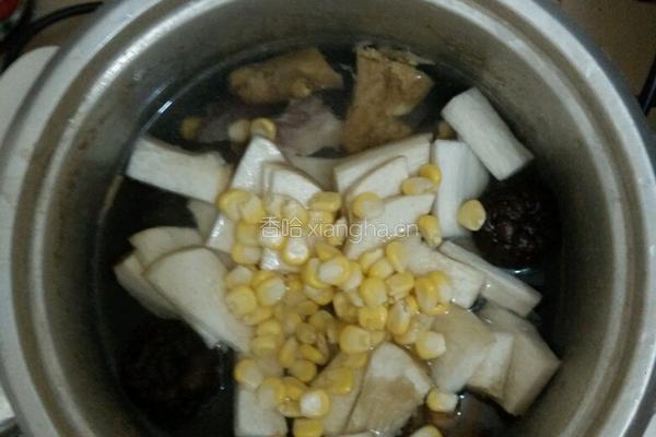 腿菇排骨汤的做法图解3