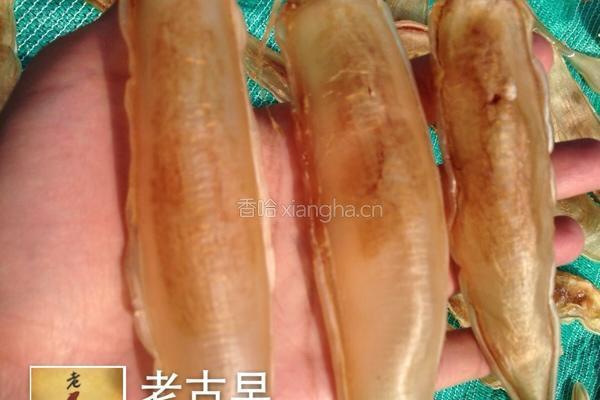 金龙鱼胶炖枸杞穗米红枣的做法图解1