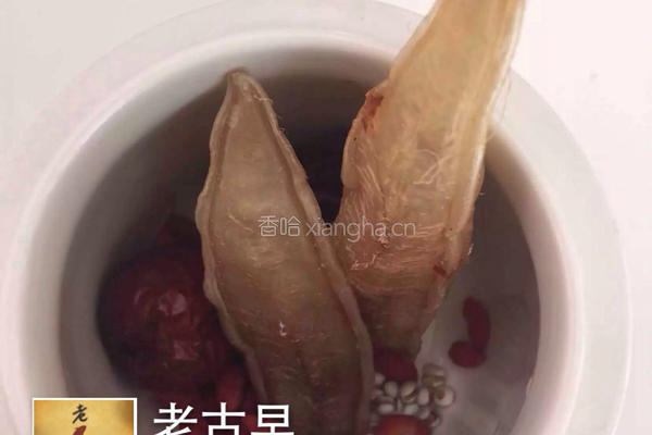 金龙鱼胶炖枸杞穗米红枣的做法图解3