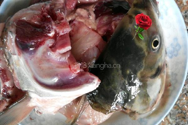 鱼肉炖豆腐的做法图解1